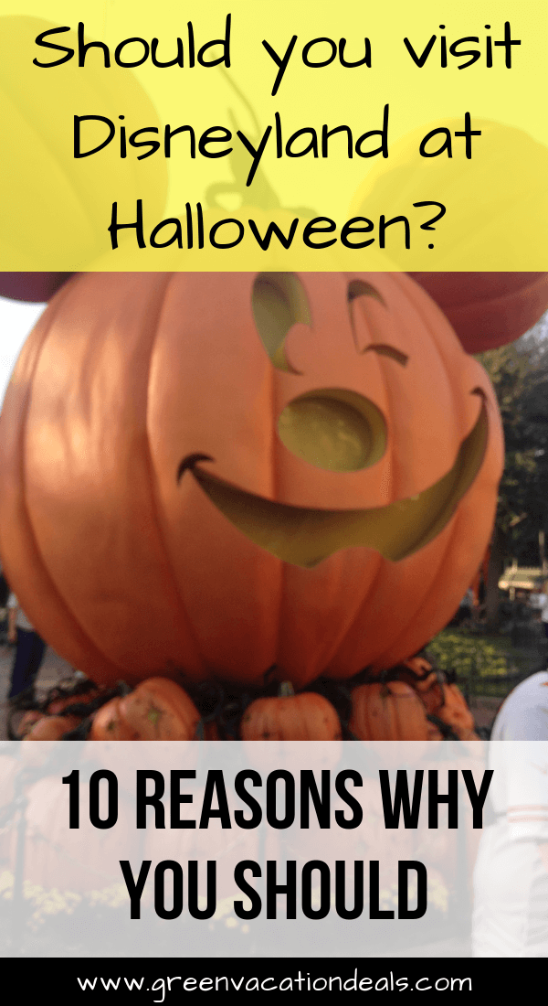 Reasons to visit Disneyland at Halloween: Main Street Pumpkin Festival; rare characters like Jack Skellington, Sally & Vampirina; Space Mountain Ghost Galaxy; Haunted Mansion Holiday; Cars Land Haul-O-Ween; Mickey’s Halloween Party; Guardians of the Galaxy – Monsters After Dark & more!
