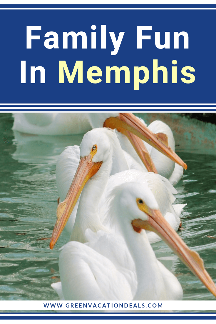 If you're planning a family trip to Memphis, Tennessee, then check out our list of fun activities for families: Children’s Museum Of Memphis, Memphis Zoo, Crazy Dash, Crystal Shrine Grotto, Shelby Farms Park, Golf & Games Family Park, Allen’s Kayaking Adventures, Battlefront Laser Tag & Paintball, Go Ape Treetop Adventure Course (with ziplines, Tarzan swings & obstacles), Uncle Buck’s Fish Bowl & Grill, walking & bicycle tours, horse drawn carriage tours, Segway tour, etc.