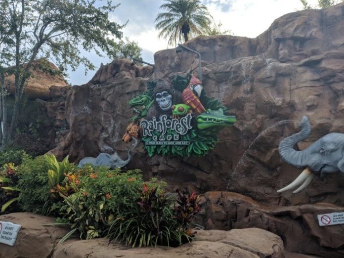 How to save money at Rainforest Cafe at Animal Kingdom in Walt Disney World