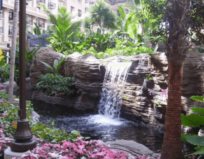 How you can win a free vacation worth $1000 to a Gaylord hotel