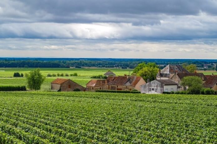 Win a free wine tour in Burgundy France plus airfare & hotel