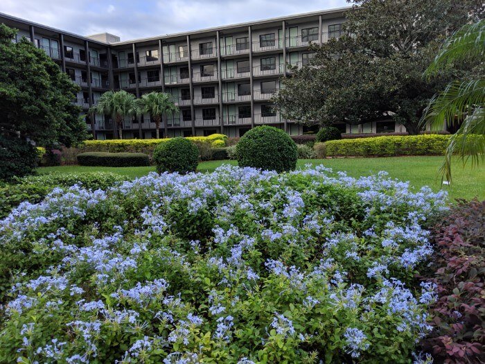 Disney Springs hotel in Orlando Florida with beautiful garden & flowers