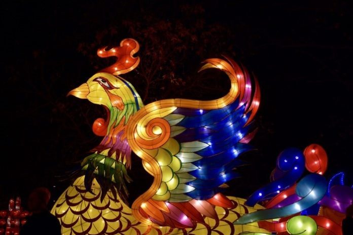 Discount admission to light display & lantern festival is Tucson AZ