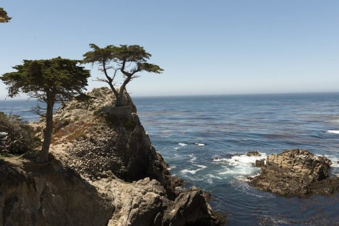 Win a trip to Pebble Beach California for US Open