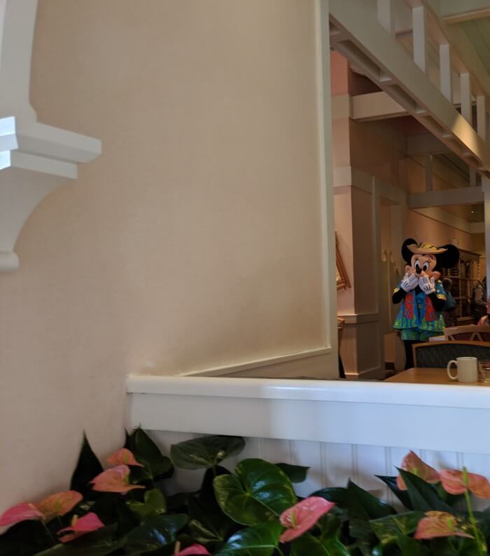 Meet Disney characters at Cape May Cafe at Beach & Yacht Club Orlando