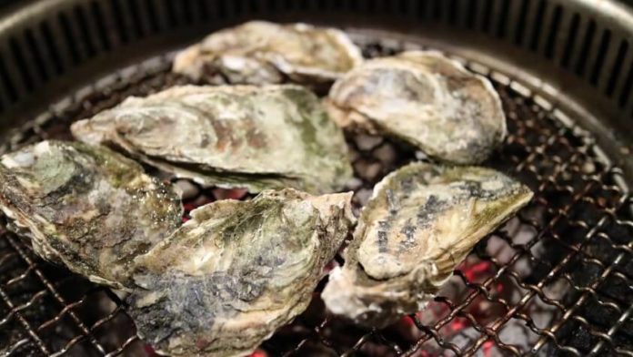 Discounted admission to Mardi Gras oyster festival in Atlanta Georgia area