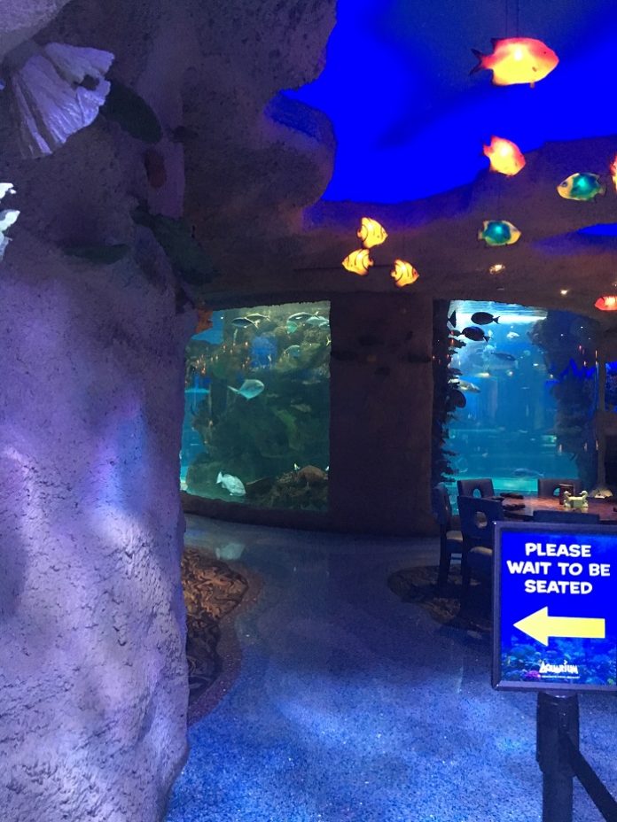 Save money on Houston Texas family fun with aquarium tickets & Landry's gift cards