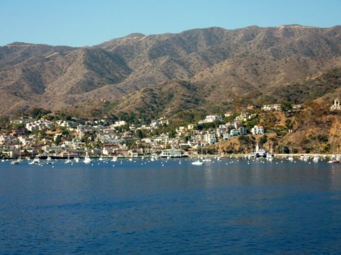 Discounted cruises from LA see Catalina Island, San Francisco, Vancouver, Cabo, Puerto Vallarta...