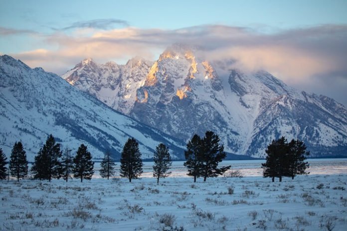 Win stay at Teton Mountain Lodge Jackson Hole lift package dogsledding experience