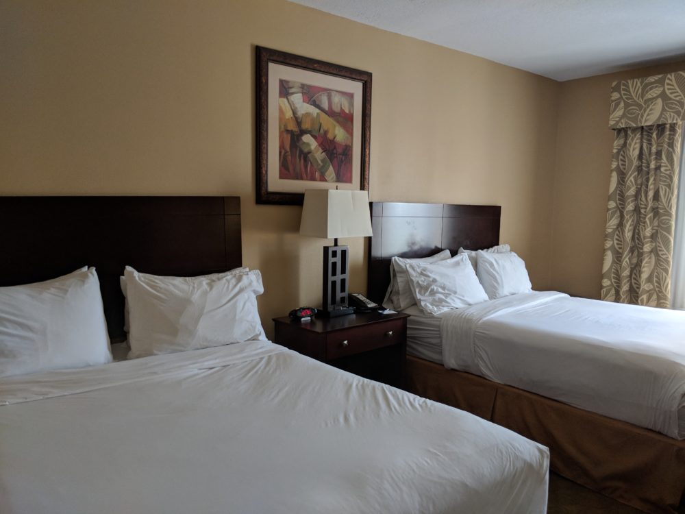 Get a good night's sleep within walking distance of Busch Gardens Tampa at Holiday Inn Express