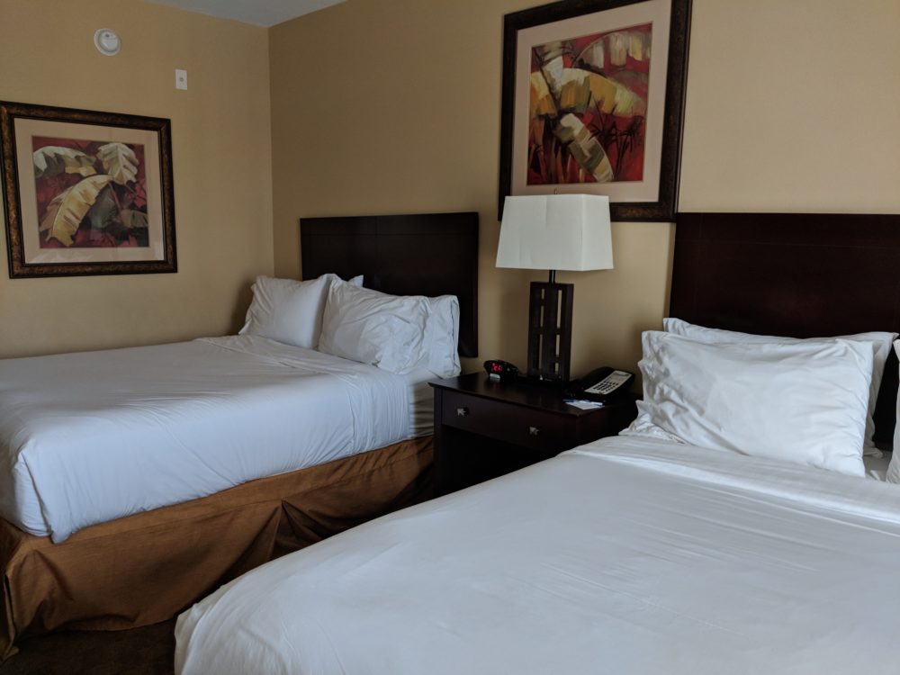 Review of Holiday Inn Express & Suites Tampa USF Busch Gardens, Tampa beds