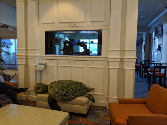 Hilton Garden Inn SeaWorld Orlando Review: 10 Reasons to Stay A picture of the beautiful lobby at Hilton Garden Inn at SeaWorld in Orlando, Florida