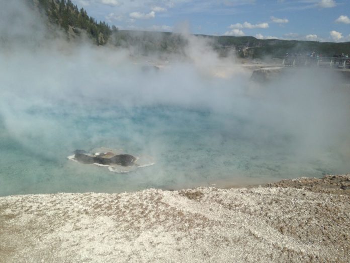 A picture from Yellowstone National Park. How to find the best tour to Yellowstone out of Salt Lake City.