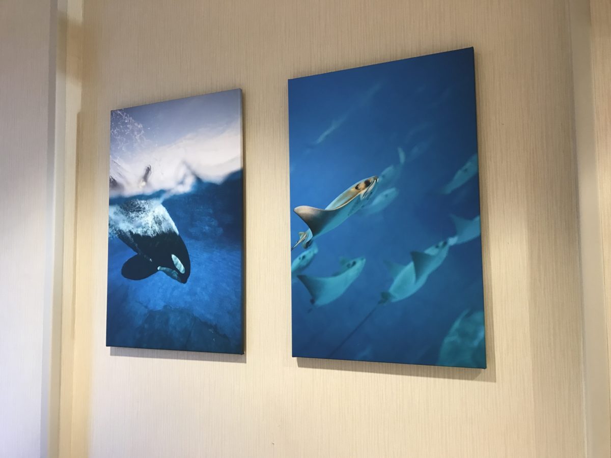 Hilton Garden Inn Seaworld Orlando Review 10 Reasons To Stay