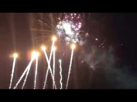 Busch Gardens 60th Anniversary Celebration in Tampa Florida