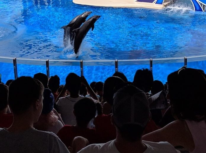 Save 25% on tickets to SeaWorld Texas