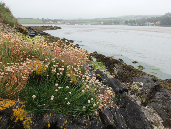 How you can win a trip to Inchydoney in Ireland for free