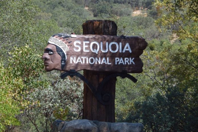 How to find a great hotel for a vacation exploring Sequoia National Park