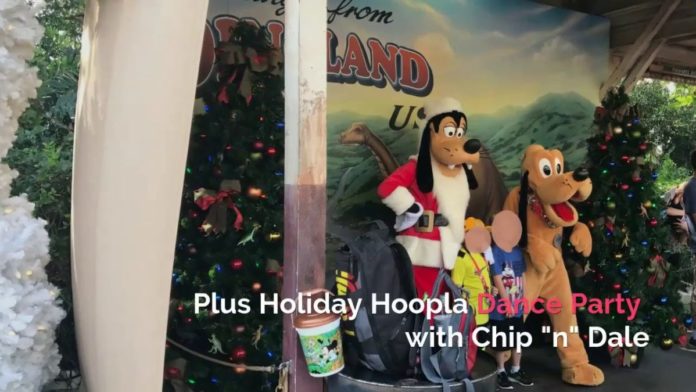 New 2019 Animal Kingdom Christmas Holiday Event