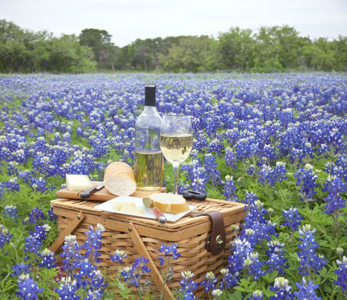 How to save money on lodging near Texas vineyards & wineries