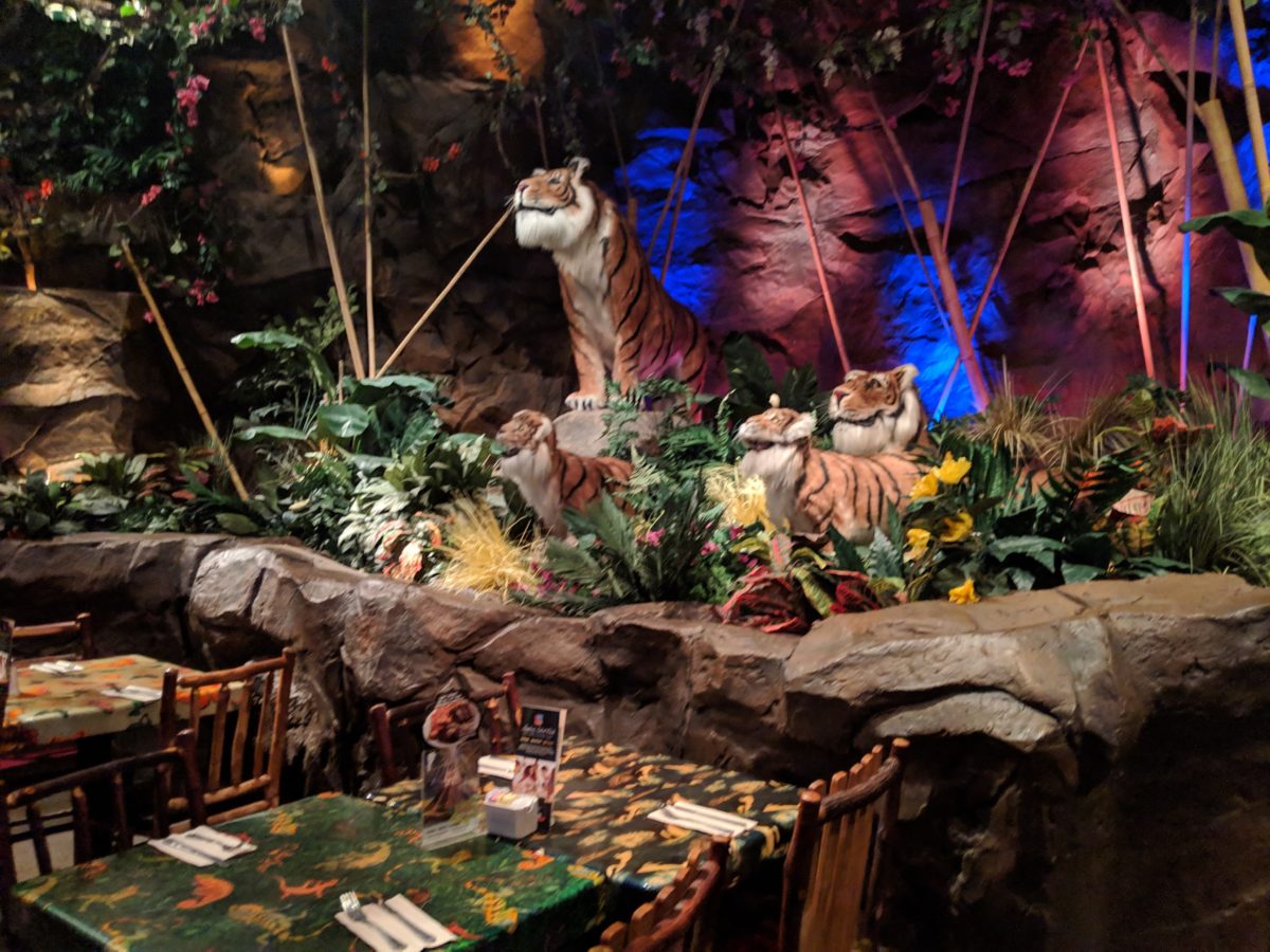 Rainforest Cafe at Disney World is a great restaurant with delicious food that is always cool inside