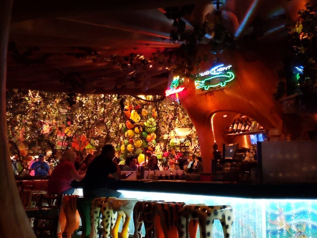 Rainforest Cafe at Animal Kingdom in Disney World has a great air conditioned bar area