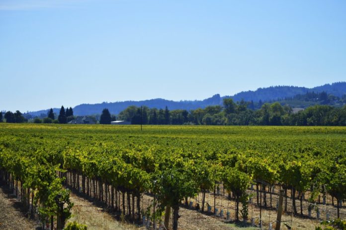 How to win a free trip to California Wine Country