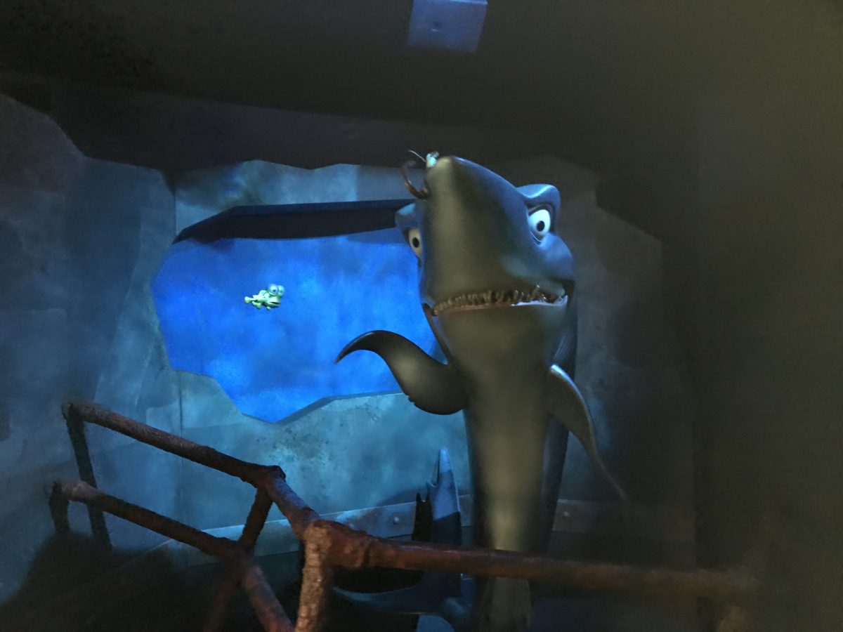 See sharks at EPCOT at Walt Disney World in Orlando Florida