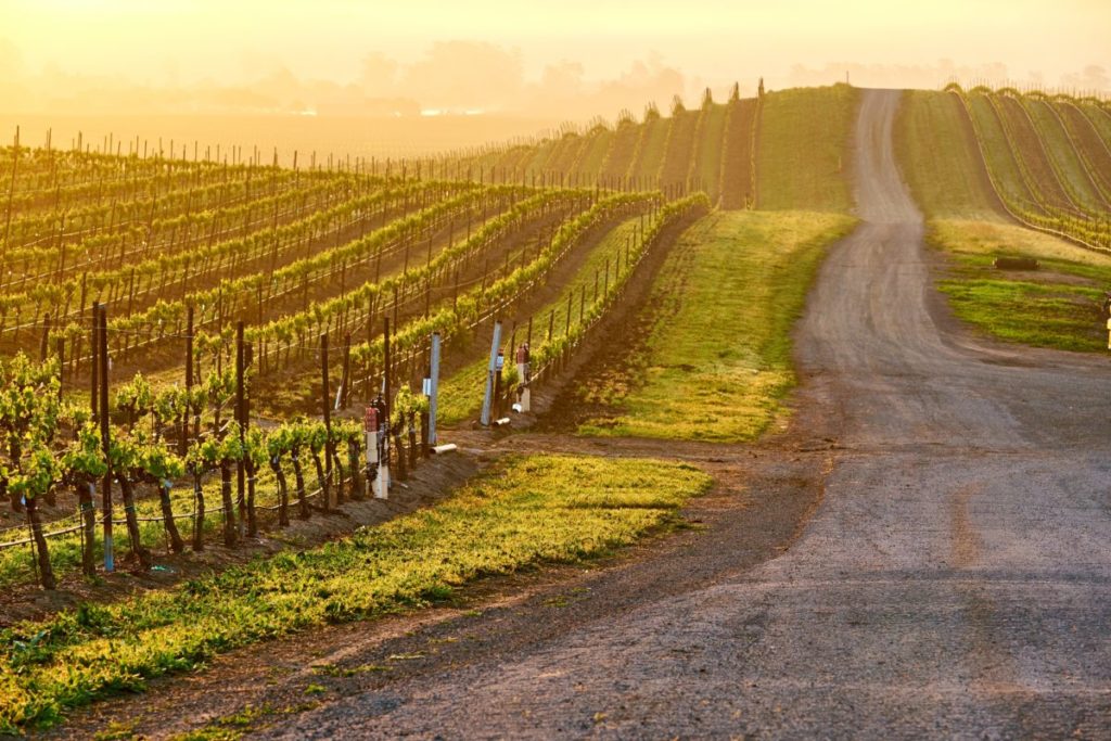 9 Top Napa Valley Resorts Green Vacation Deals 9 Top Napa Valley Resorts Green Vacation Deals