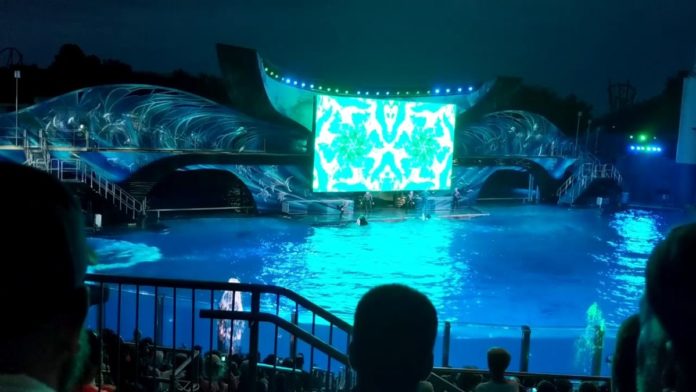 Virtual Tour of Electric Ocean, SeaWorld Orlando’s Summer Nighttime Event