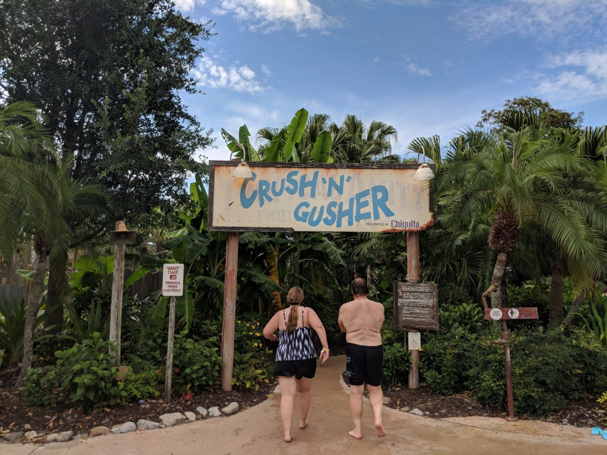Enjoy thrill rides at Disney World water park Typhoon Lagoon