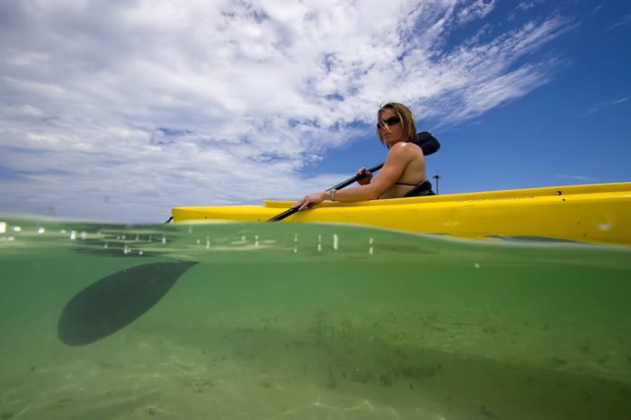 Find out what the best eco tours are in Key West, Florida