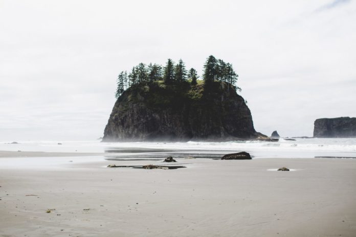 Find out what made our list of the top hotels in La Push, Washington beach area