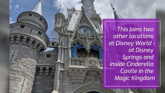 Disney World Summer 2019 News: Bibbidi Bobbidi Boutique Comes to Grand Floridian