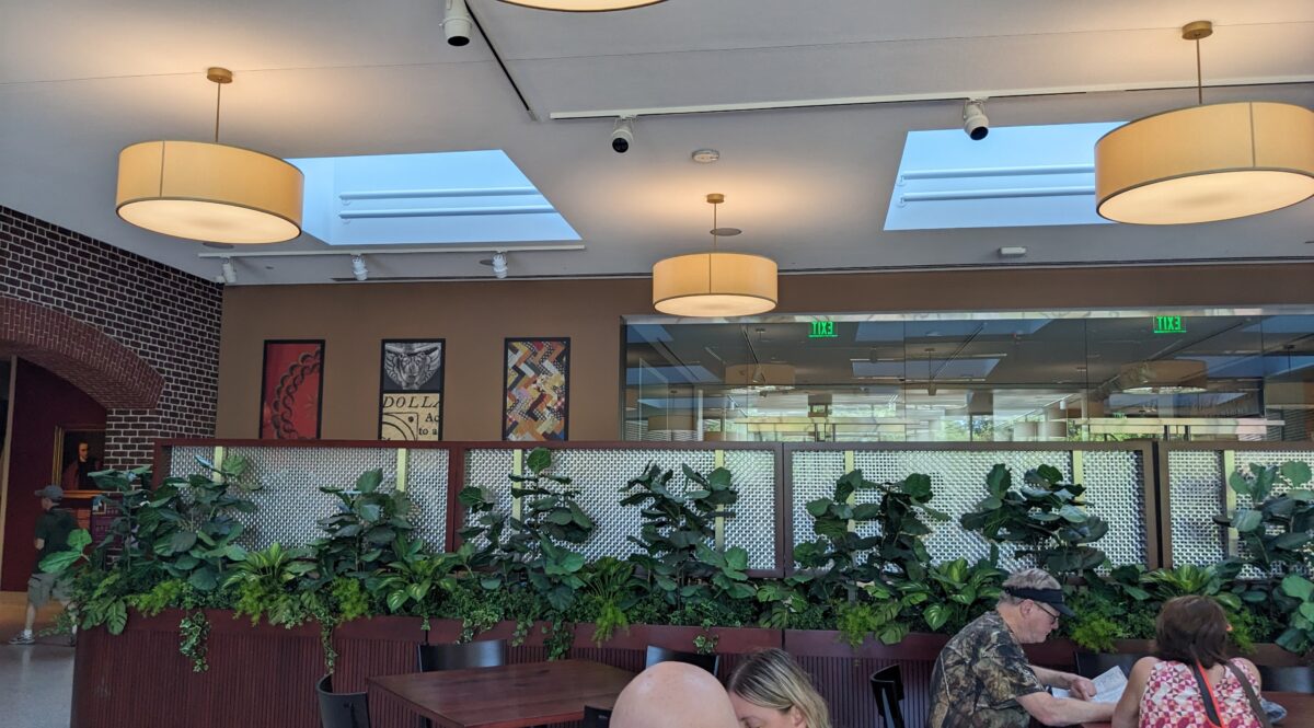 A picture of plant at the Museum Cafe in the Art Museums of Colonial Williamsburg Virginia